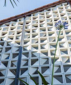 Multiformas - Associação Tupy